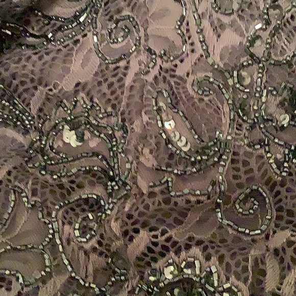 Gorgeous Beaded Lace Formal - Picture 11 of 11